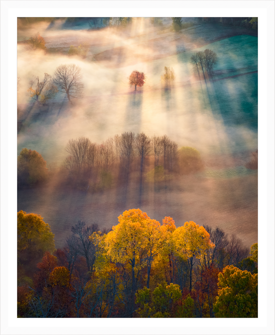 Amherst foliage sunrise fog by Jamie Malcolm Brown