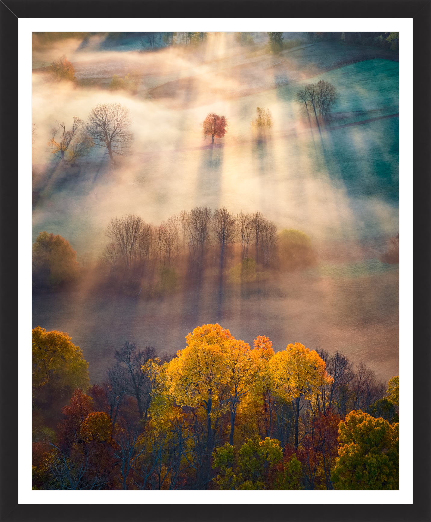 Amherst foliage sunrise fog by Jamie Malcolm Brown