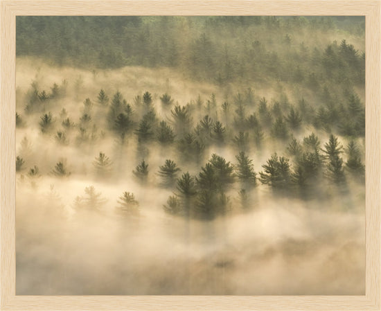 Foggy morning at Whitmore Pond in Deerfield, MA by Jamie Malcolm Brown