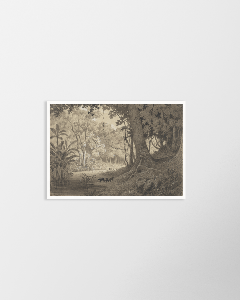 Forest Scenery Near Tamana (1857) – Vintage Print by Michel Jean