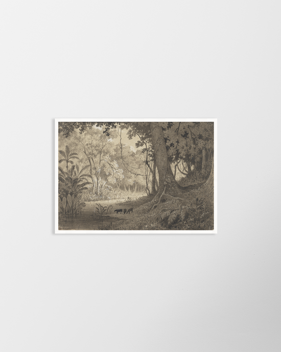 Forest Scenery Near Tamana (1857) – Vintage Print by Michel Jean Cazabon