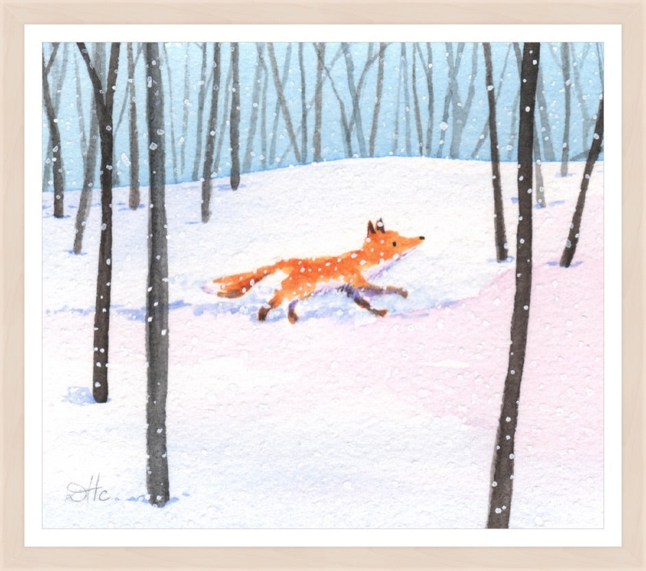 Snowy Fox - Print by David Hyde Costello
