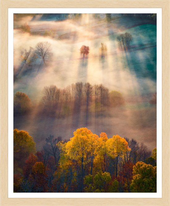 Cargar imagen en el visor de la galería, Amherst foliage sunrise fog by Jamie Malcolm Brown
