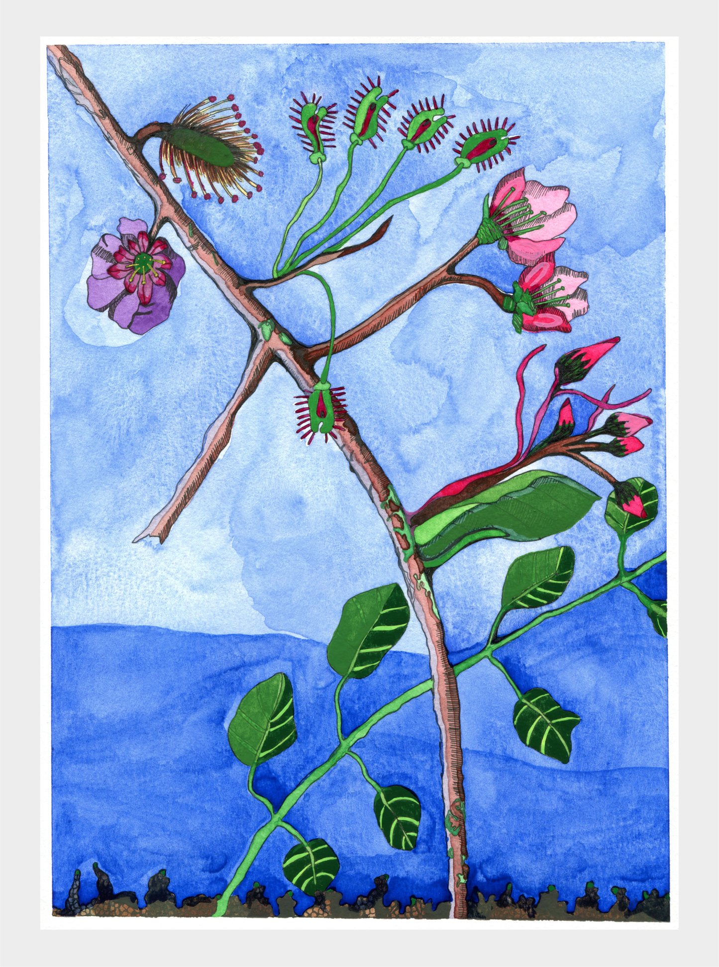 Novel Botanical: 17 - print by Malaika Ross