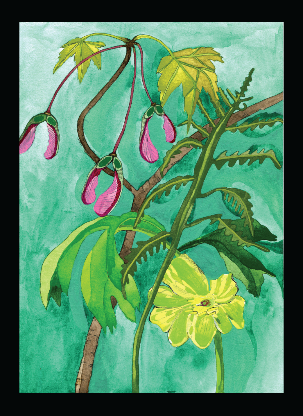 Novel Botanical: 19 - print by Malaika Ross