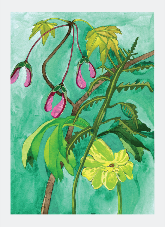 Novel Botanical: 19 - print by Malaika Ross