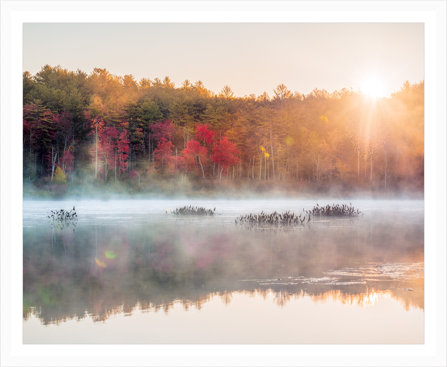 lake wyola sunrise by Jamie Malcolm Brown