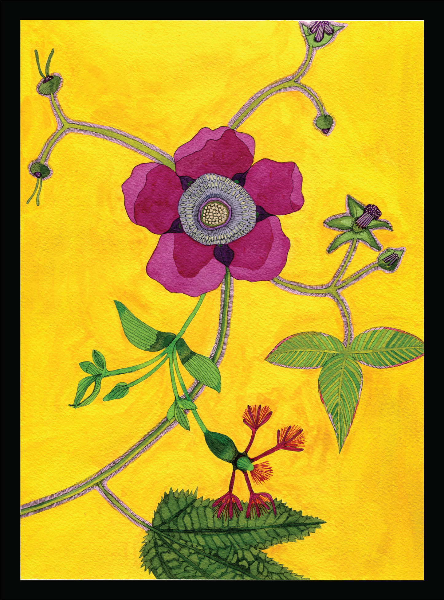 Novel Botanical: 22 - print by Malaika Ross