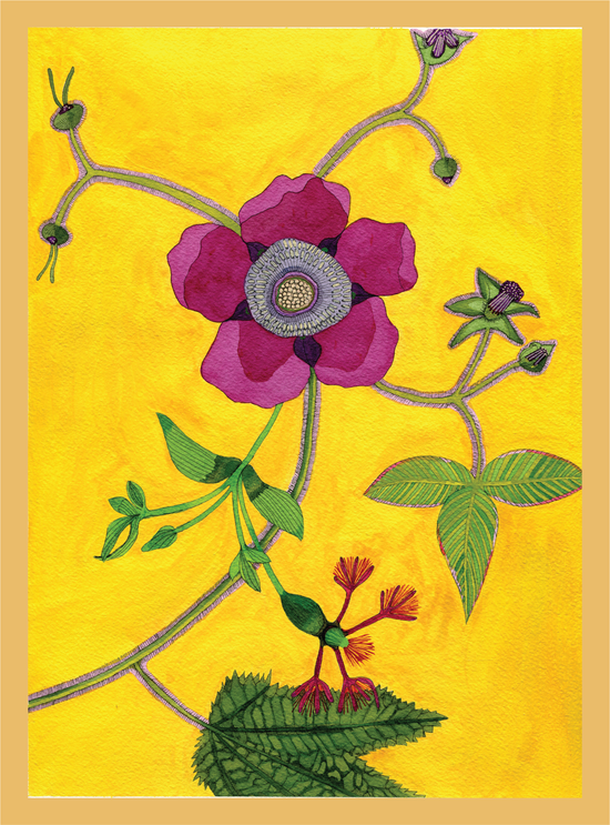 Novel Botanical: 22 - print by Malaika Ross