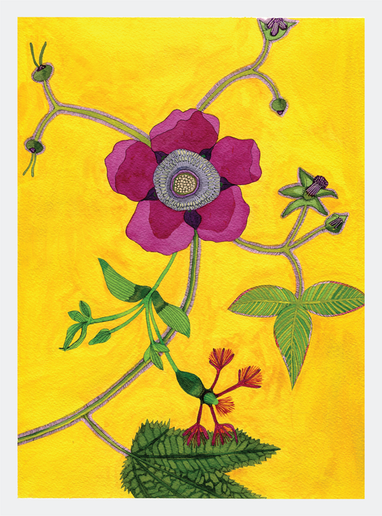 Novel Botanical: 22 - print by Malaika Ross