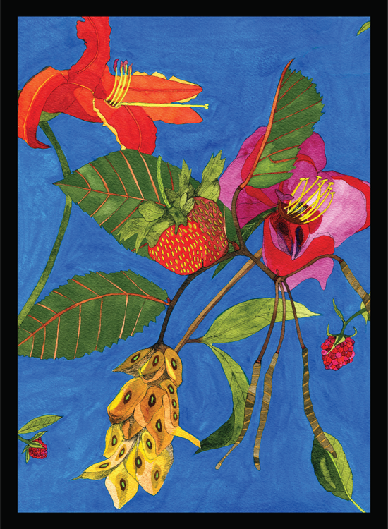 Novel Botanical: 26 - print by Malaika Ross