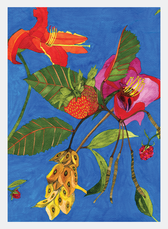 Novel Botanical: 26 - print by Malaika Ross
