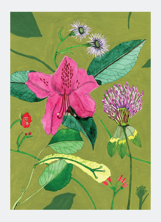 Novel Botanical: 25 - print by Malaika Ross