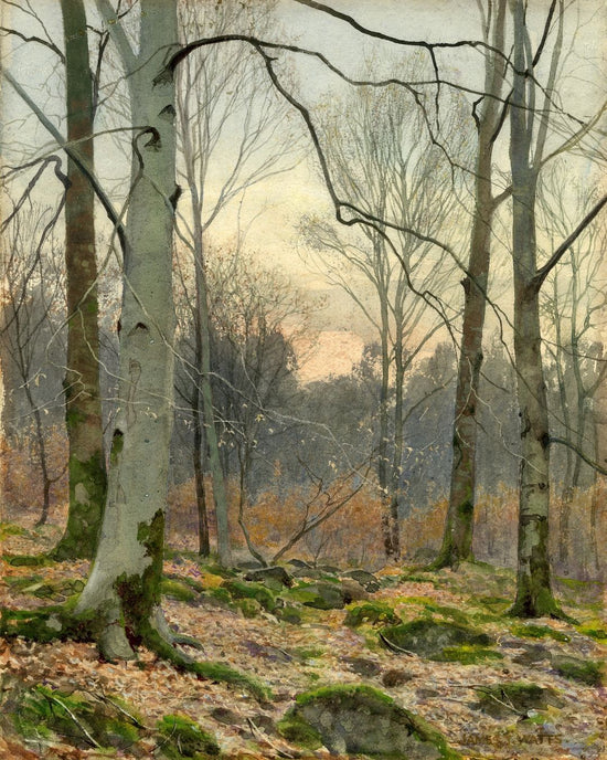 Load image into Gallery viewer, November Evening in a Welsh Wood – Vintage Restored Print
