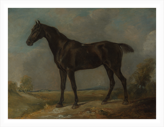 Dark Horse – Vintage Restored Print
