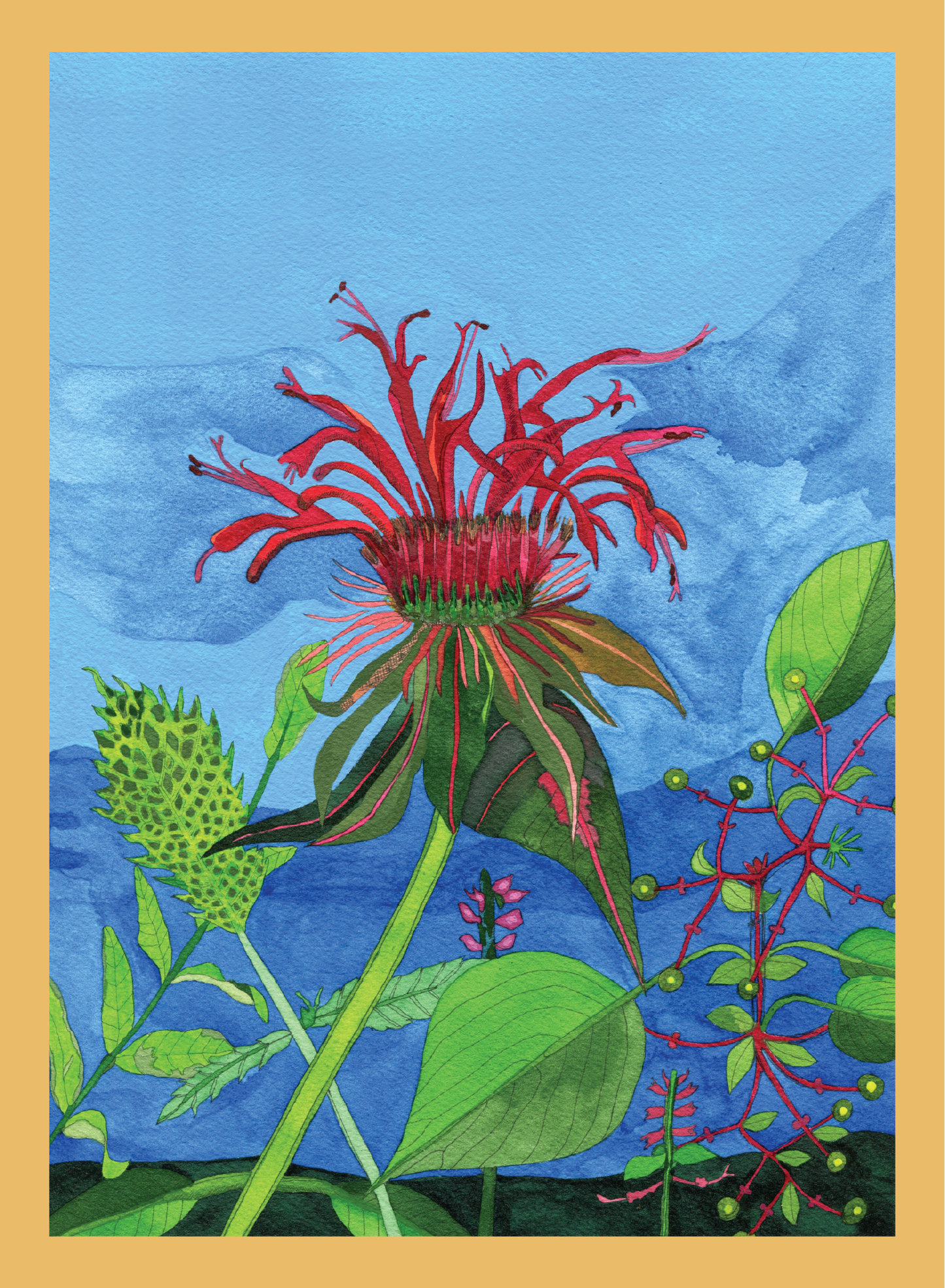 Novel Botanical: the Land of Beebalm - print by Malaika Ross