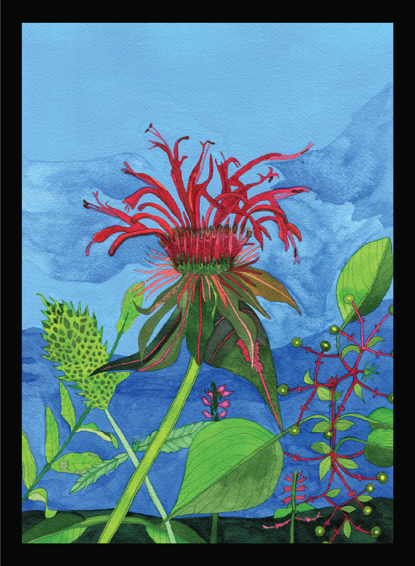 Novel Botanical: the Land of Beebalm - print by Malaika Ross