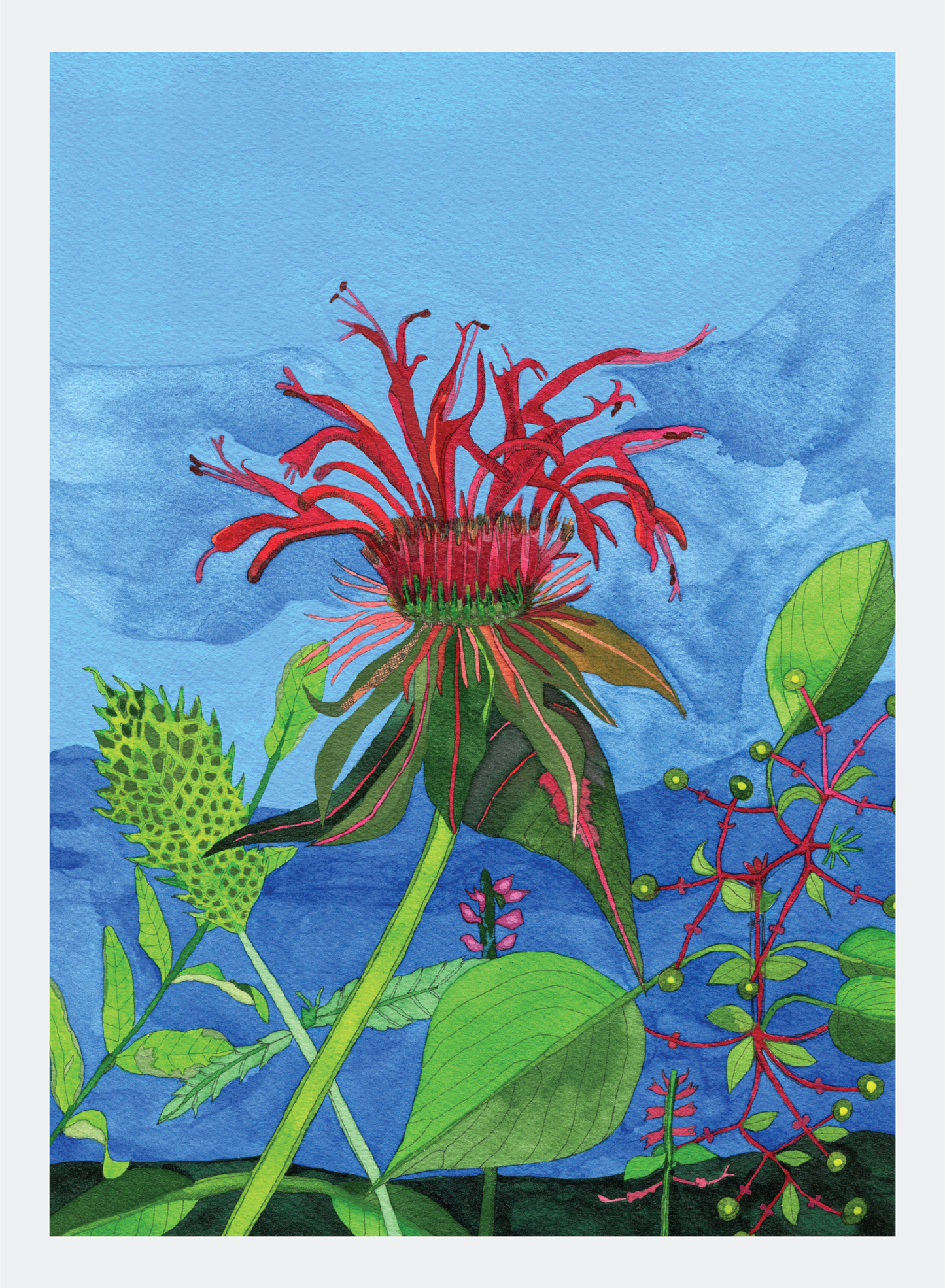 Novel Botanical: the Land of Beebalm - print by Malaika Ross