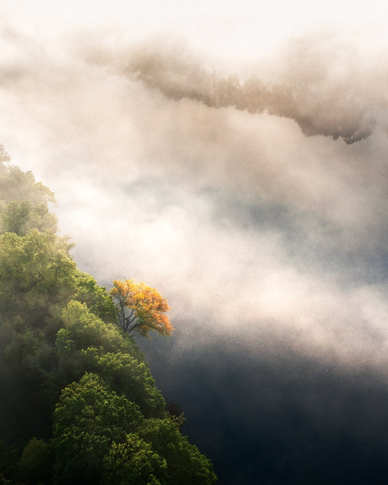 Load image into Gallery viewer, yellow tree in the foggy river by Jamie Malcolm Brown
