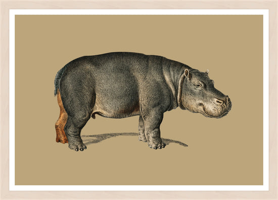 Load image into Gallery viewer, Hippo – Vintage Restored Print
