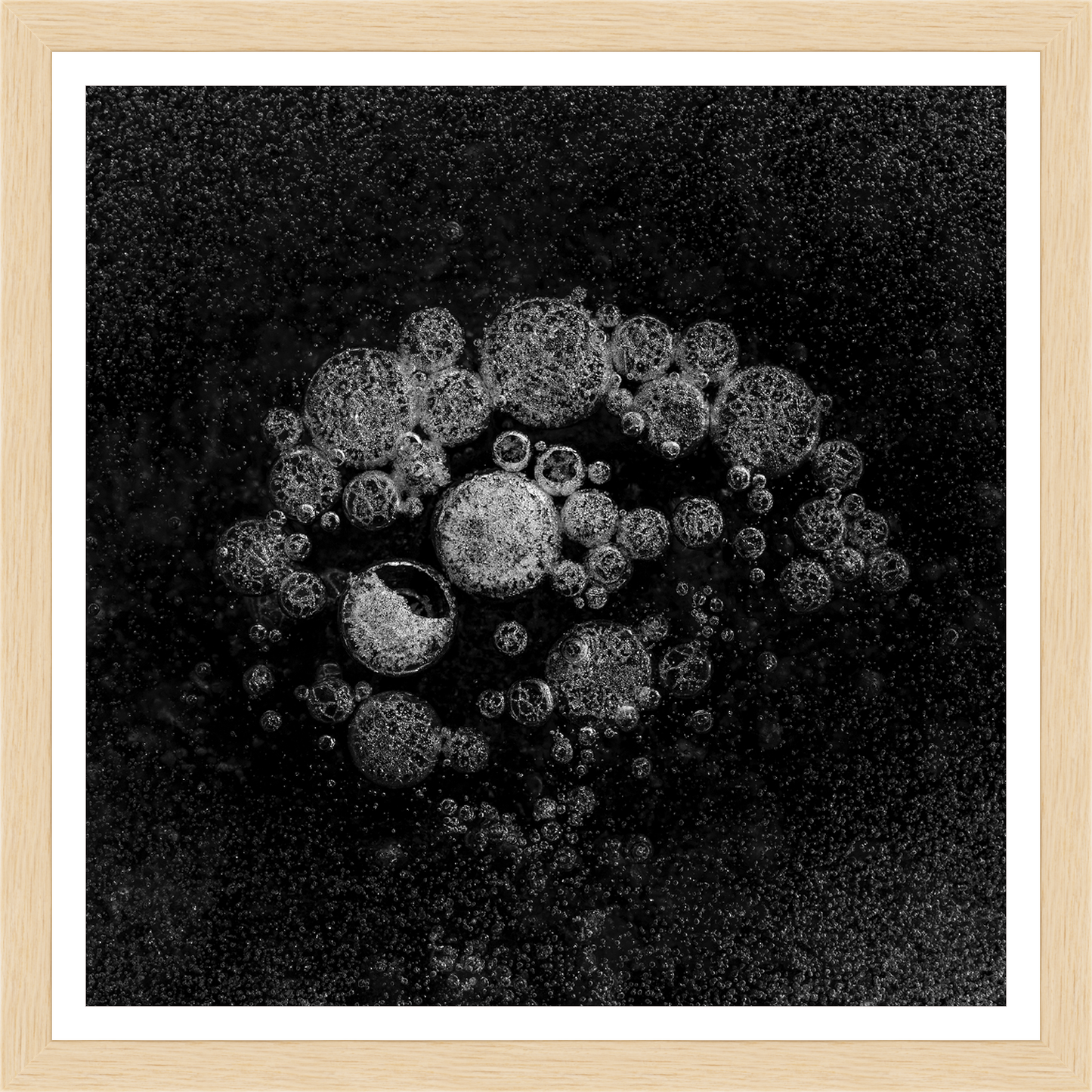 Cargar imagen en el visor de la galería, Icy Bouquet – signed print by Trevor D
