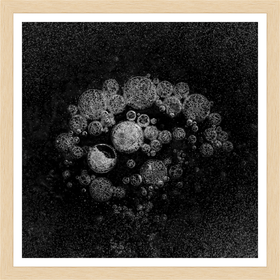 Cargar imagen en el visor de la galería, Icy Bouquet – signed print by Trevor D
