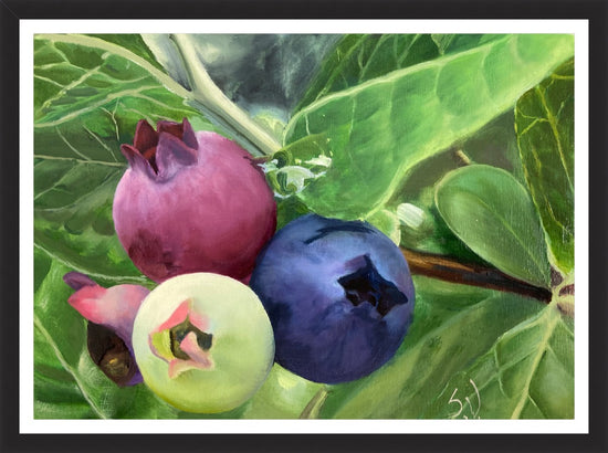 June's Blueberries – print by Susan Valentine