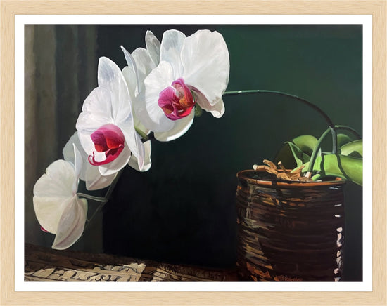 Dicks Orchids – print by Susan Valentine