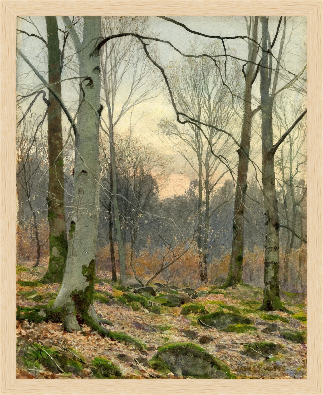 November Evening in a Welsh Wood – Vintage Restored Print