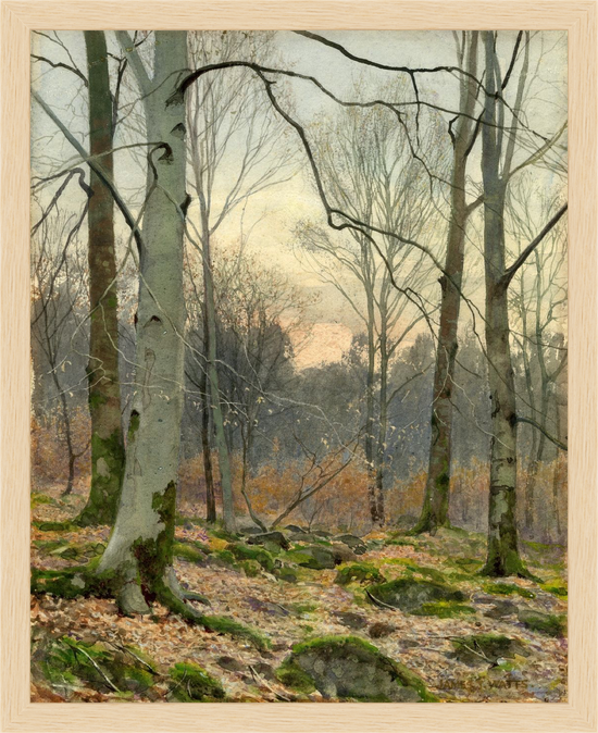 November Evening in a Welsh Wood – Vintage Restored Print
