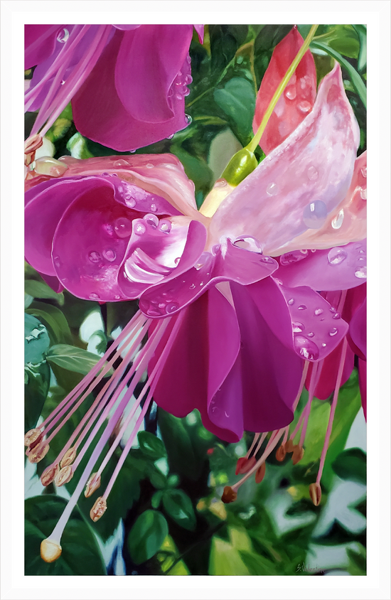 Load image into Gallery viewer, Fuschia 2 – print by Susan Valentine
