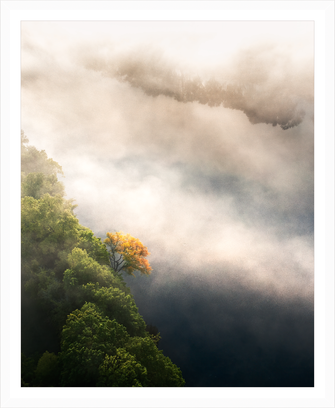Load image into Gallery viewer, yellow tree on the foggy river by Jamie Malcolm Brown

