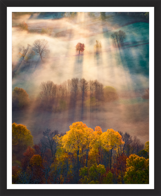 Load image into Gallery viewer, Amherst foliage sunrise fog by Jamie Malcolm Brown
