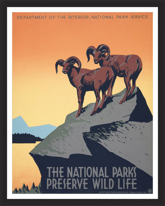Load image into Gallery viewer, Preserve Wild Life – Vintage WPA Poster
