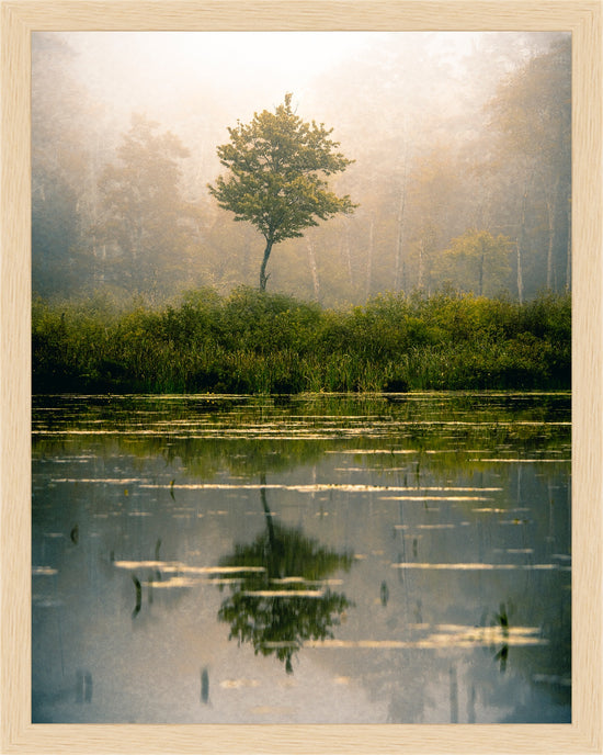Foggy morning at Lake Wyola by Jamie Malcolm Brown