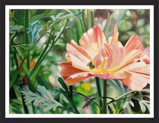 Load image into Gallery viewer, Tower Hill Poppy – print by Susan Valentine
