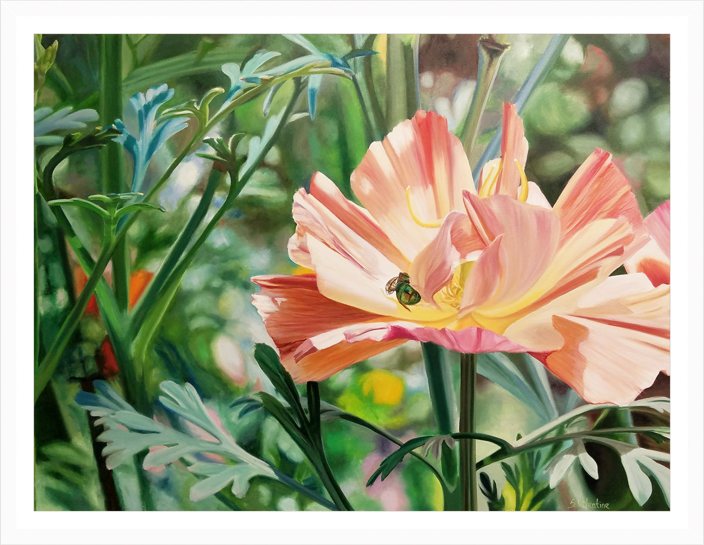 Load image into Gallery viewer, Tower Hill Poppy – print by Susan Valentine
