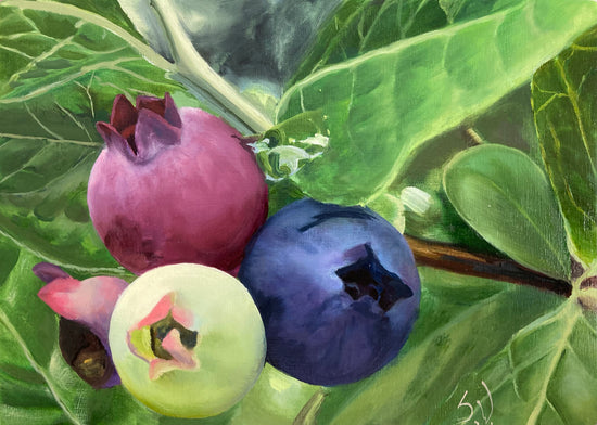 Cargar imagen en el visor de la galería, June&amp;#39;s Blueberries – print by Susan Valentine
