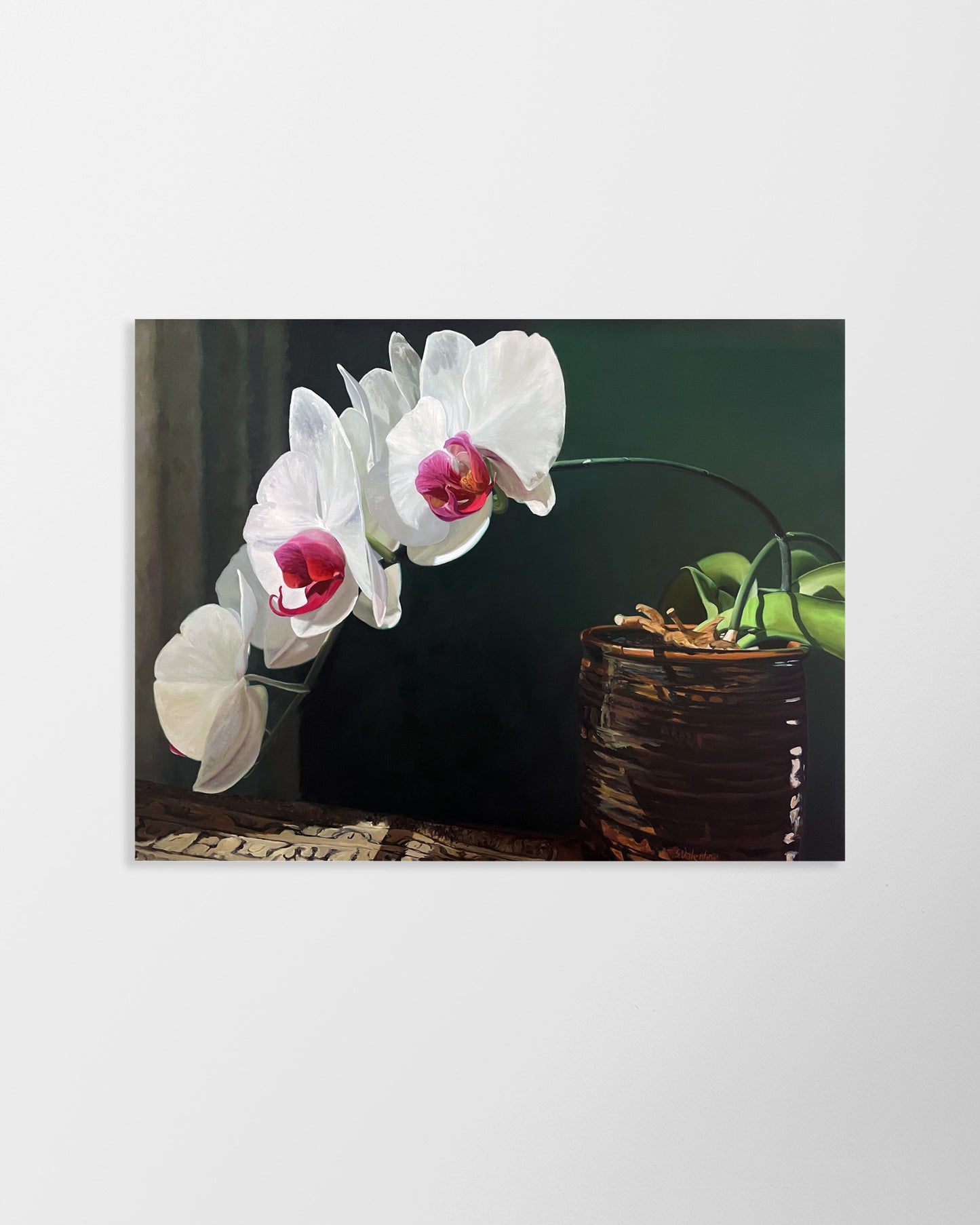 Dicks Orchids – print by Susan Valentine