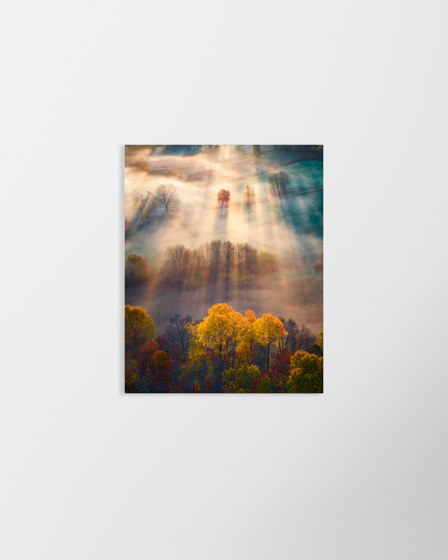 Load image into Gallery viewer, Amherst foliage sunrise fog by Jamie Malcolm Brown
