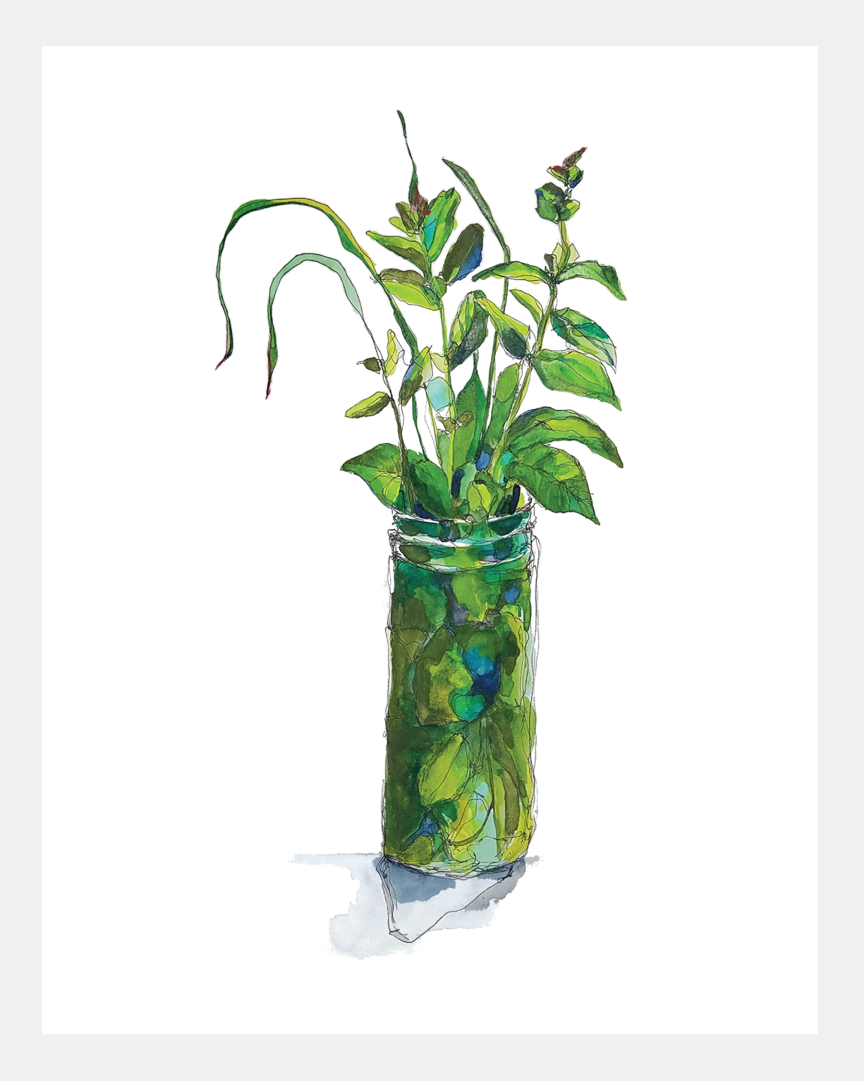 Summer to Fall: Mint, Chives, Lemongrass Print by Malaika Ross