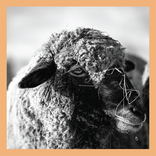 Water Dripping II - signed print by Trevor D