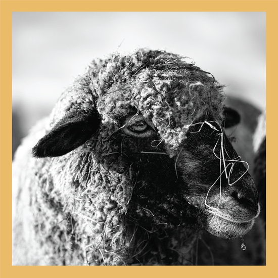 Water Dripping II - signed print by Trevor D