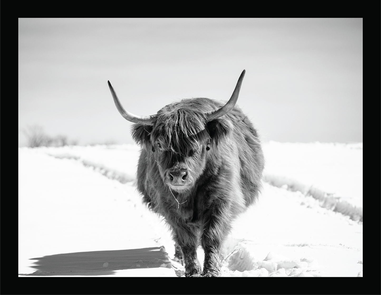 The Highlander II  - signed print by Trevor D