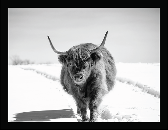 The Highlander II  - signed print by Trevor D