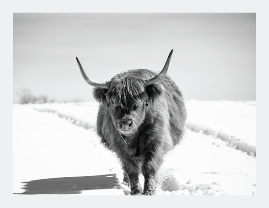 The Highlander II  - signed print by Trevor D