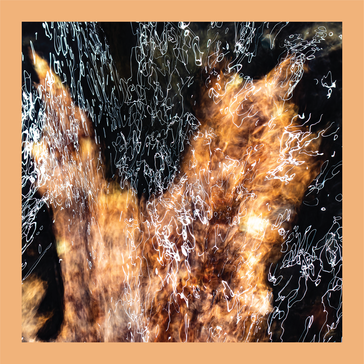 Maple - signed print by Trevor D