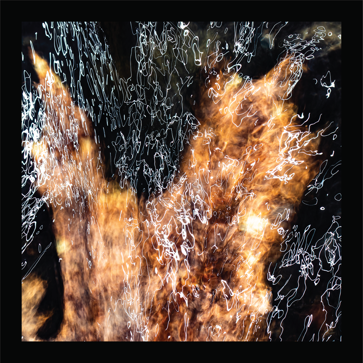 Maple - signed print by Trevor D