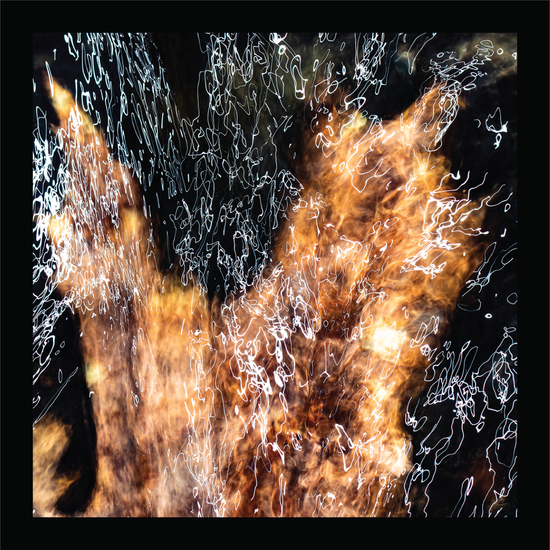 Maple - signed print by Trevor D