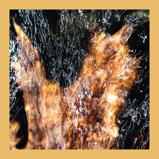 Maple - signed print by Trevor D